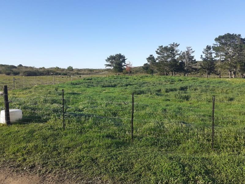 0 Bedroom Property for Sale in Mossel Bay Rural Western Cape